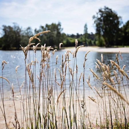 Ferienparadies Muehlenbach Soltau Kültér fotó