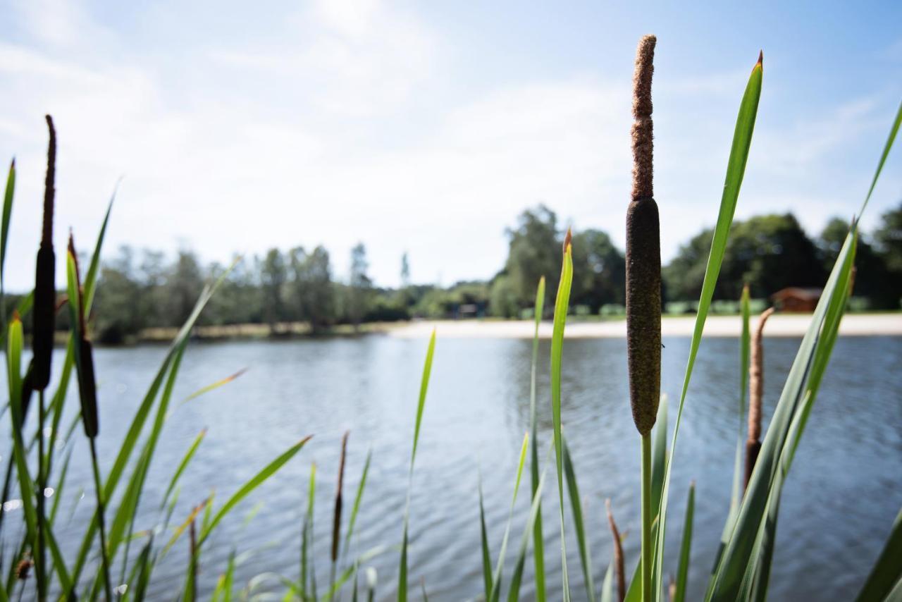 Ferienparadies Muehlenbach Hotel Soltau Kültér fotó